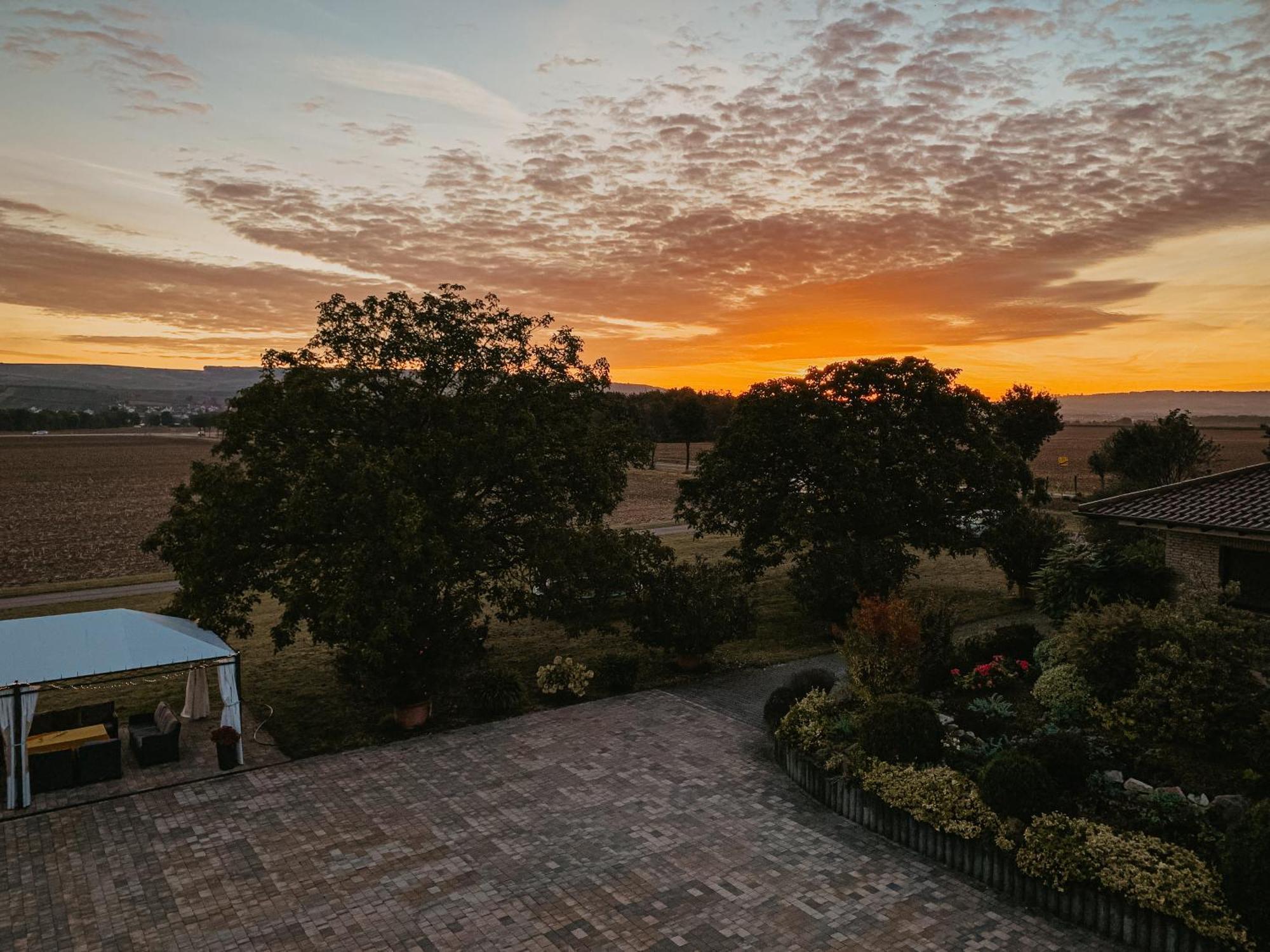 Weingut U. Gaestehaus Vogt-Fehlinger Biebelsheim Dış mekan fotoğraf